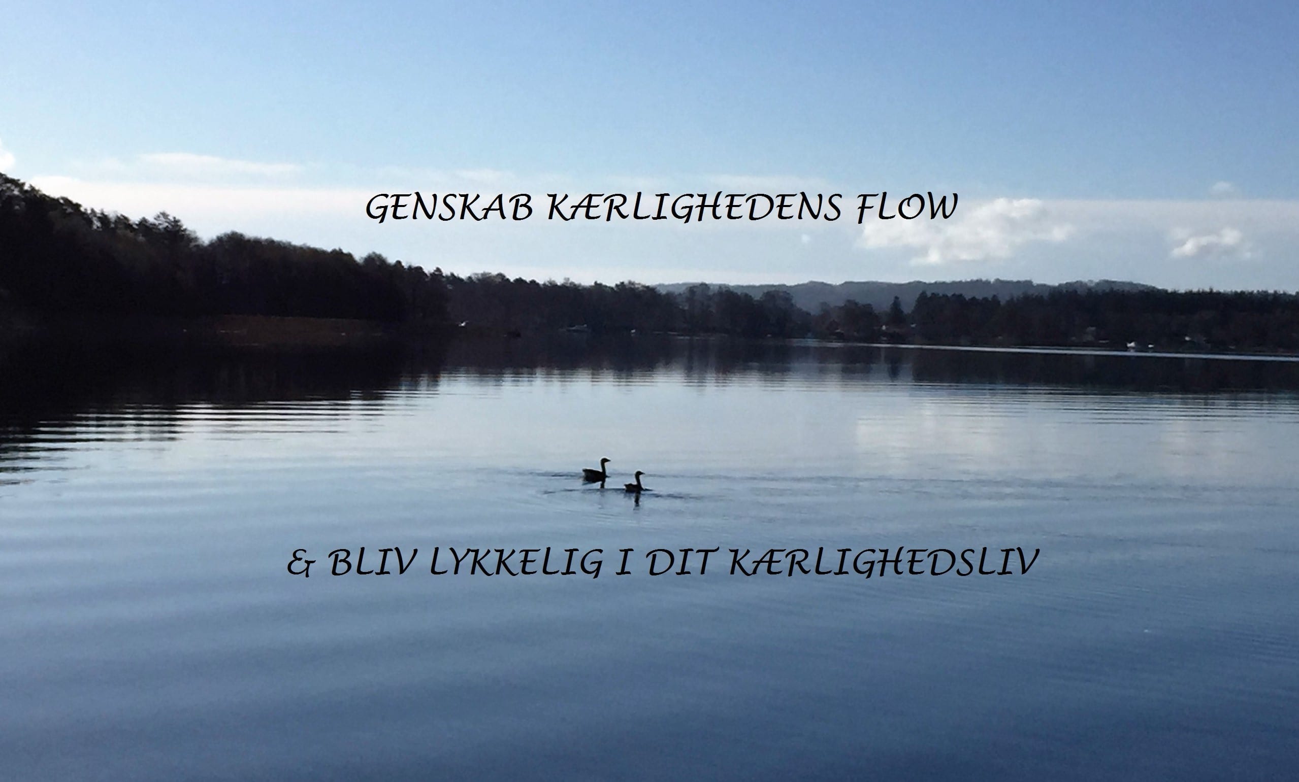 GENSKAB KÆRLIGHEDENS FLOW